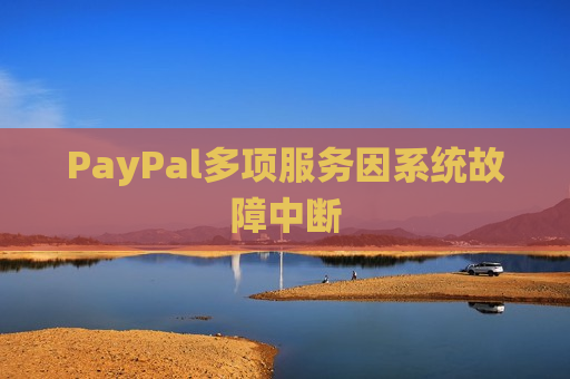 PayPal多项服务因系统故障中断  第1张