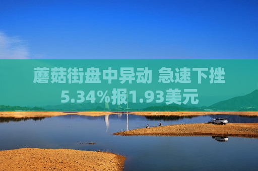蘑菇街盘中异动 急速下挫5.34%报1.93美元  第1张