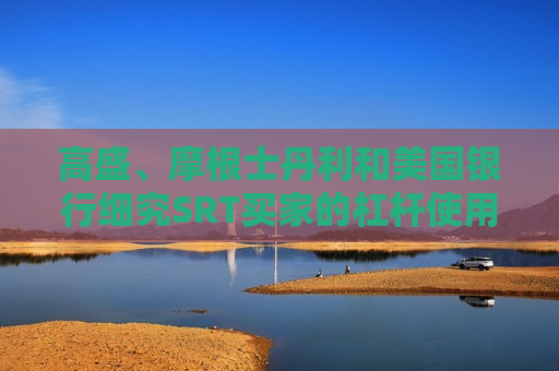 高盛、摩根士丹利和美国银行细究SRT买家的杠杆使用情况