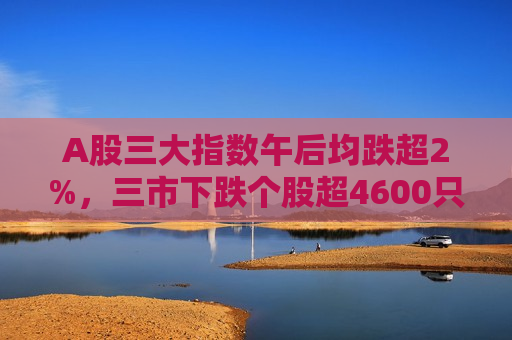 A股三大指数午后均跌超2%，三市下跌个股超4600只