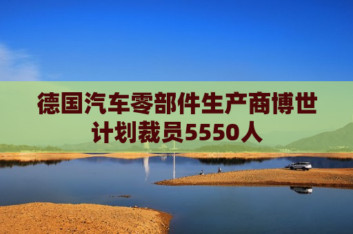 德国汽车零部件生产商博世计划裁员5550人  第1张