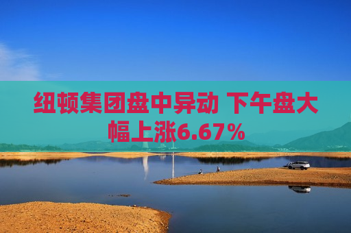 纽顿集团盘中异动 下午盘大幅上涨6.67%