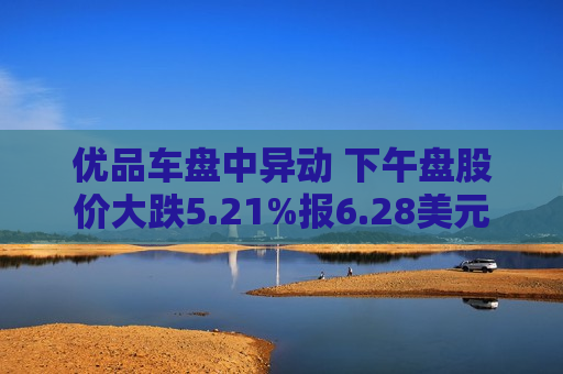 优品车盘中异动 下午盘股价大跌5.21%报6.28美元