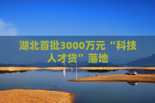 湖北首批3000万元“科技人才贷”落地