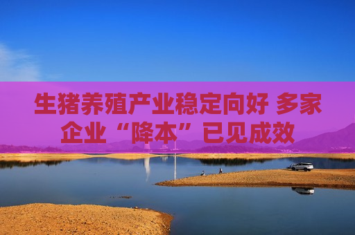生猪养殖产业稳定向好 多家企业“降本”已见成效