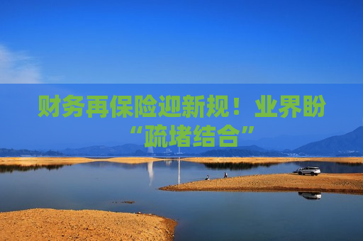 财务再保险迎新规！业界盼“疏堵结合”
