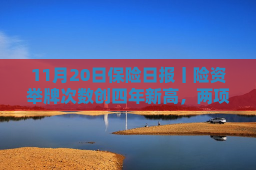 11月20日保险日报丨险资举牌次数创四年新高，两项保险业标准出炉，规范人身险和车险理赔服务