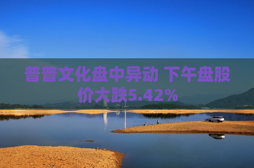 普普文化盘中异动 下午盘股价大跌5.42%