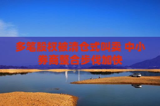 多笔股权被清仓式叫卖 中小券商整合步伐加快  第1张