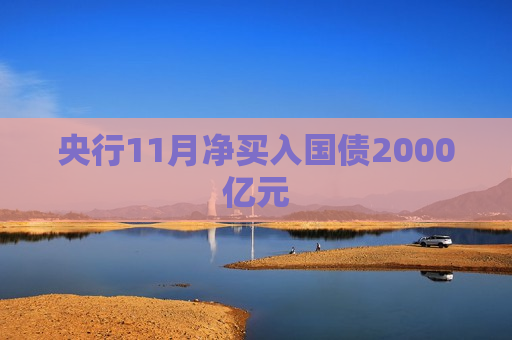 央行11月净买入国债2000亿元