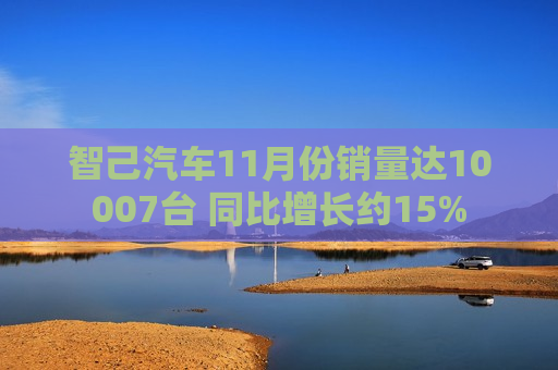智己汽车11月份销量达10007台 同比增长约15%