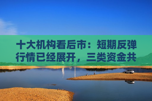 十大机构看后市：短期反弹行情已经展开，三类资金共振推动跨年行情