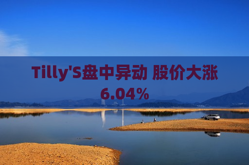 Tilly'S盘中异动 股价大涨6.04%