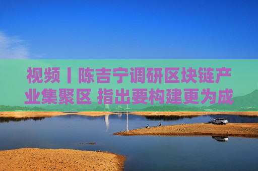 视频丨陈吉宁调研区块链产业集聚区 指出要构建更为成熟 更具竞争力产业生态