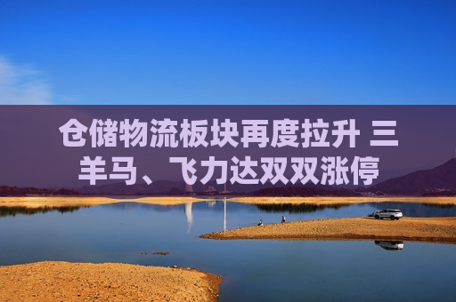 仓储物流板块再度拉升 三羊马、飞力达双双涨停