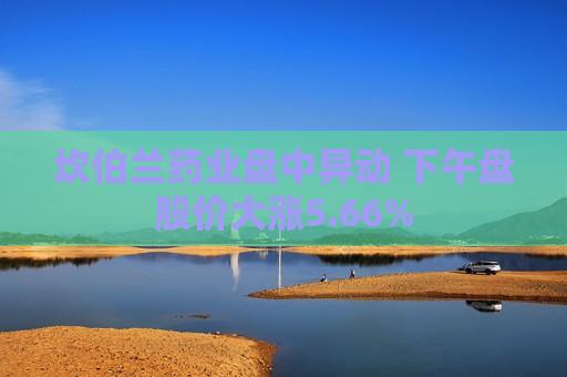 坎伯兰药业盘中异动 下午盘股价大涨5.66%