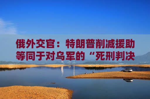 俄外交官：特朗普削减援助等同于对乌军的“死刑判决”  第1张