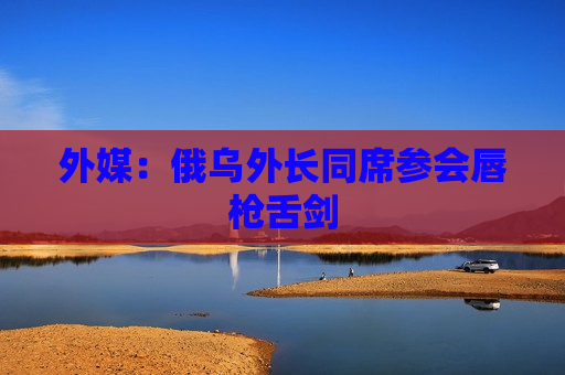 外媒：俄乌外长同席参会唇枪舌剑