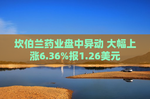 坎伯兰药业盘中异动 大幅上涨6.36%报1.26美元