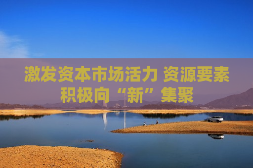 激发资本市场活力 资源要素积极向“新”集聚