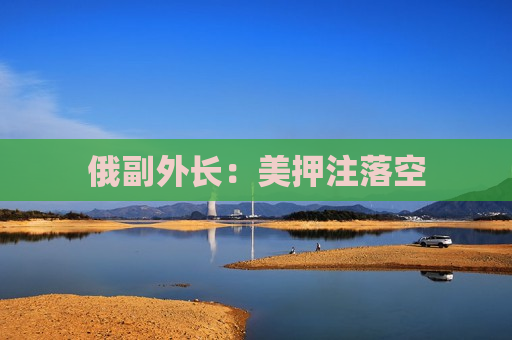 俄副外长：美押注落空