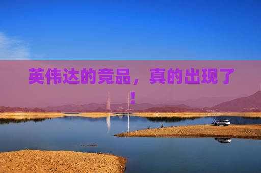 英伟达的竞品，真的出现了！