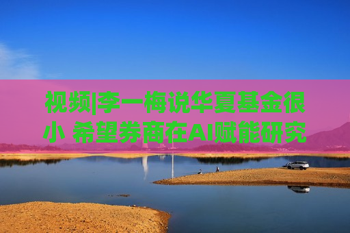 视频|李一梅说华夏基金很小 希望券商在AI赋能研究方面进行助力  第1张