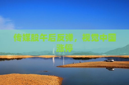 传媒股午后反弹，视觉中国涨停