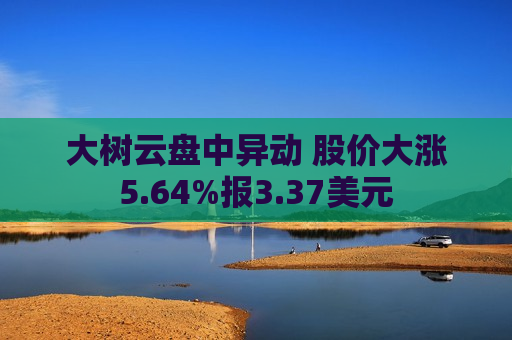 大树云盘中异动 股价大涨5.64%报3.37美元  第1张