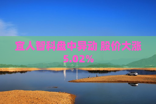 宜人智科盘中异动 股价大涨5.02%