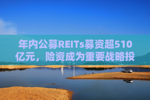 年内公募REITs募资超510亿元，险资成为重要战略投资人