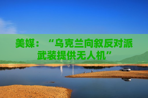 美媒：“乌克兰向叙反对派武装提供无人机”