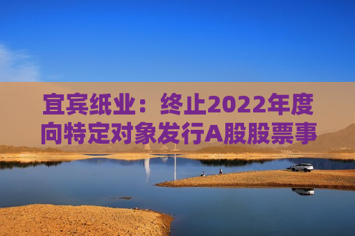 宜宾纸业：终止2022年度向特定对象发行A股股票事项