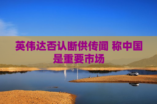 英伟达否认断供传闻 称中国是重要市场
