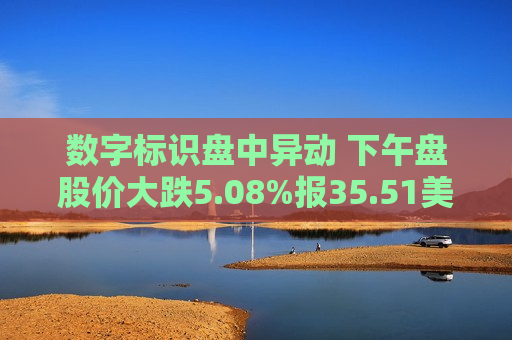 数字标识盘中异动 下午盘股价大跌5.08%报35.51美元