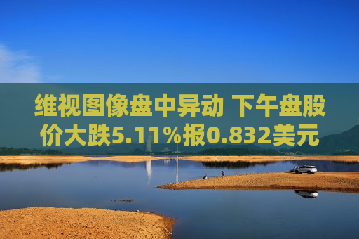 维视图像盘中异动 下午盘股价大跌5.11%报0.832美元