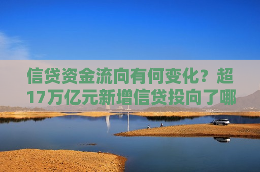 信贷资金流向有何变化？超17万亿元新增信贷投向了哪里？