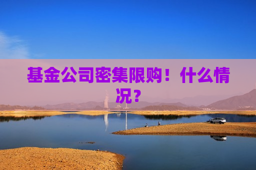 基金公司密集限购！什么情况？  第1张