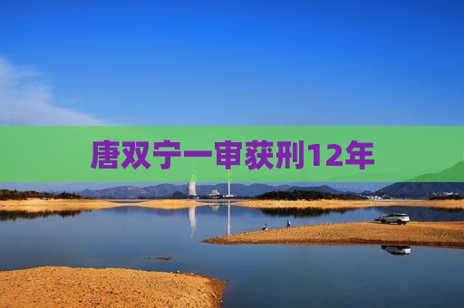 唐双宁一审获刑12年  第1张