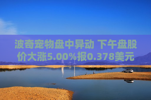 波奇宠物盘中异动 下午盘股价大涨5.00%报0.378美元