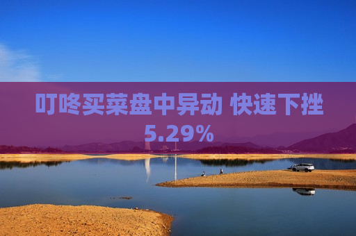 叮咚买菜盘中异动 快速下挫5.29%