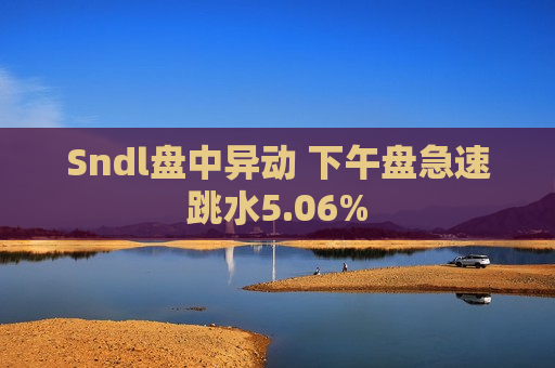 Sndl盘中异动 下午盘急速跳水5.06%