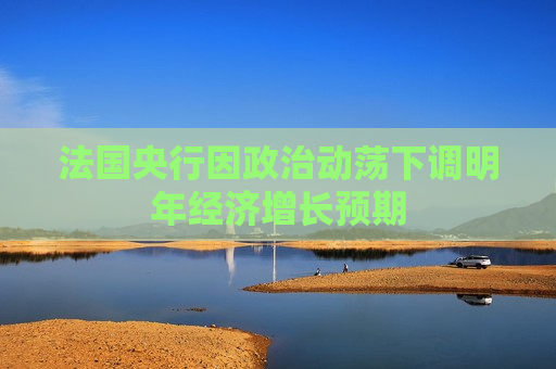法国央行因政治动荡下调明年经济增长预期  第1张