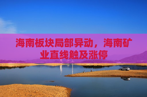 海南板块局部异动，海南矿业直线触及涨停