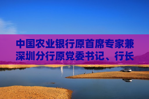 中国农业银行原首席专家兼深圳分行原党委书记、行长许锡龙接受纪律审查和监察调查