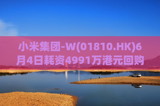 小米集团-W(01810.HK)6月4日耗资4991万港元回购280万股