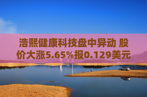 浩熙健康科技盘中异动 股价大涨5.65%报0.129美元