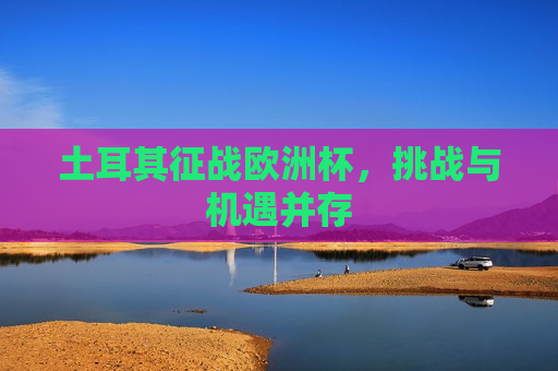 土耳其征战欧洲杯，挑战与机遇并存