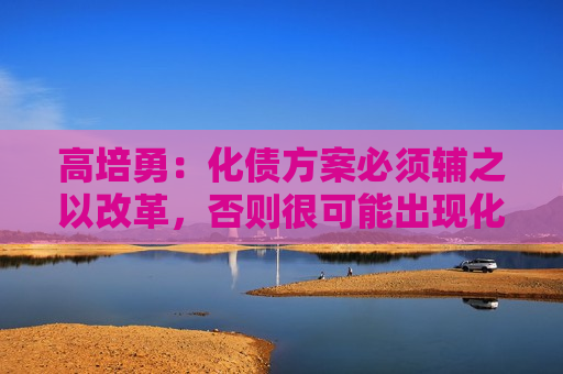 高培勇：化债方案必须辅之以改革，否则很可能出现化债之后的再化债  第1张