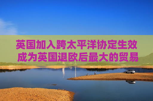 英国加入跨太平洋协定生效 成为英国退欧后更大的贸易协议  第1张